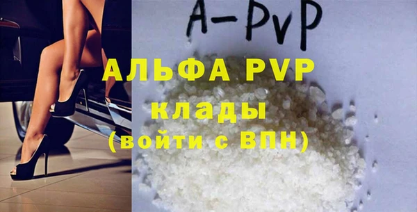 дмт Пересвет