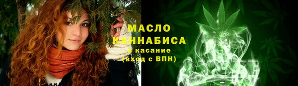 дмт Пересвет