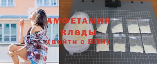 дмт Пересвет