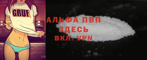 дмт Пересвет