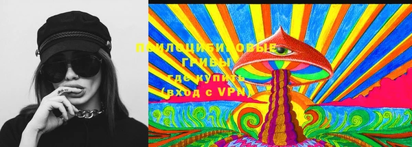 дмт Пересвет