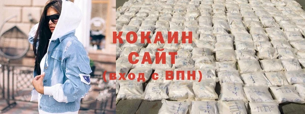 дмт Пересвет