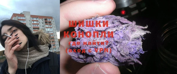 дмт Пересвет