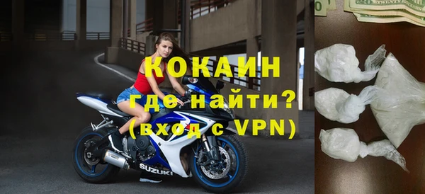 дмт Пересвет