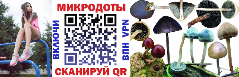 Псилоцибиновые грибы ЛСД  Бабушкин 